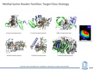 Methyl-lysine Reader Families: Target Class Strategy